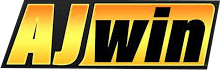 brajwin.net Logo